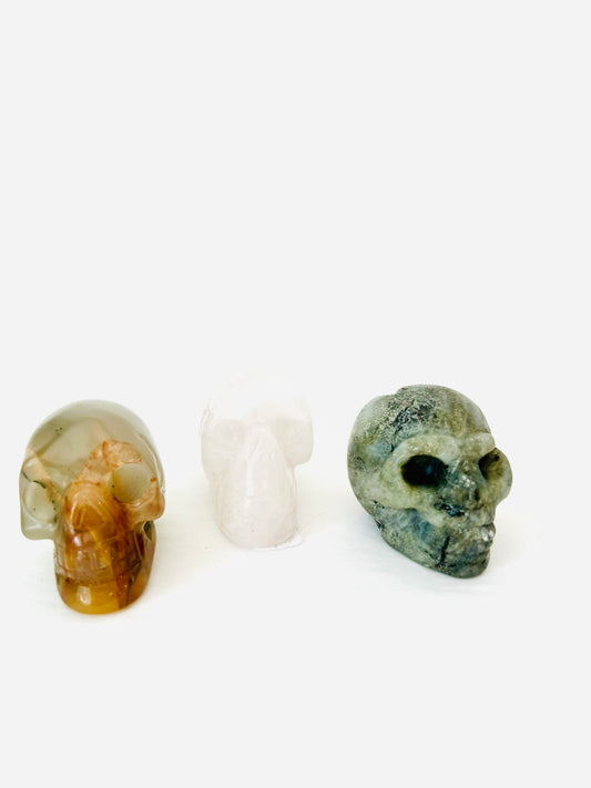 Skulls Crystals