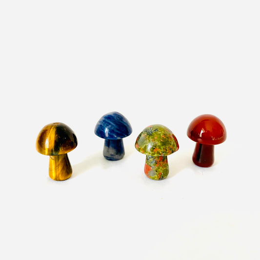 Mushrooms Mini