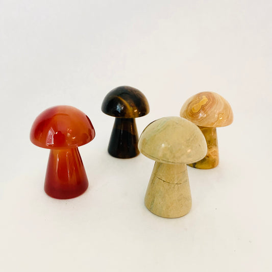 Mushrooms Medium Mixed